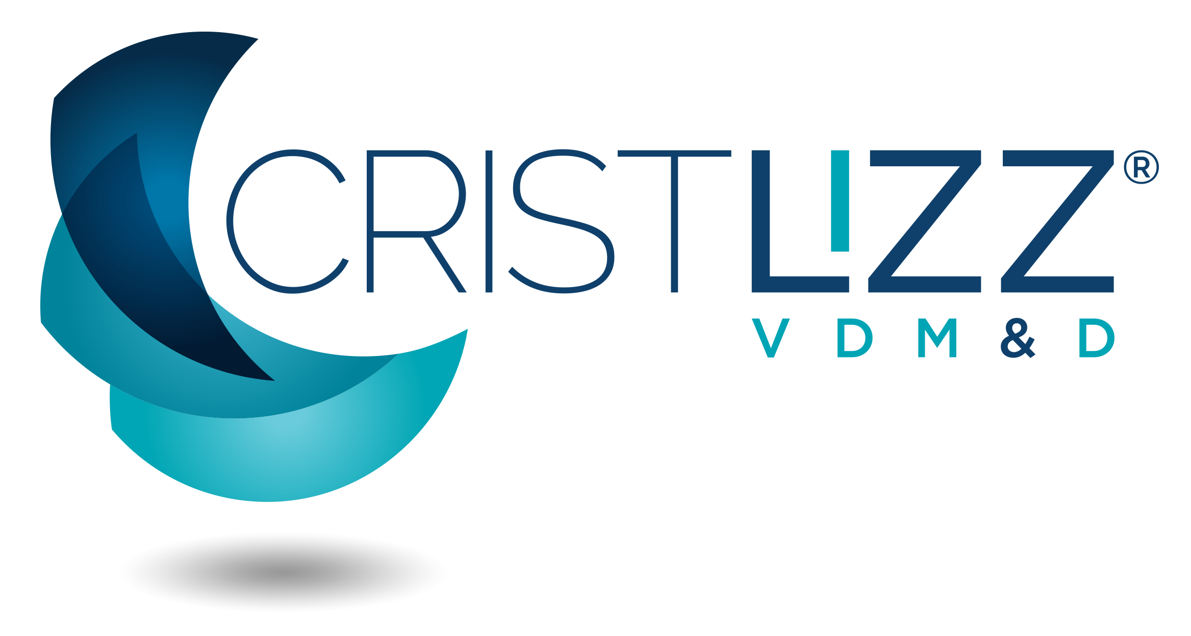 Control Activos Cristlizz